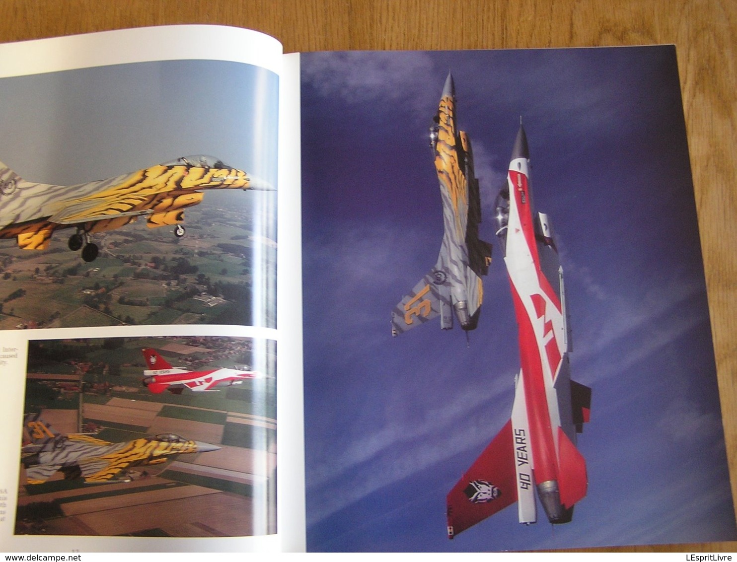 TIGER ! TIGRE ! TIGROS ! RAF Aviation Avion Aircraft F-16 Mirage F-104 Squadron NATO OTAN Tiger Meet Kleine Brogel BAF