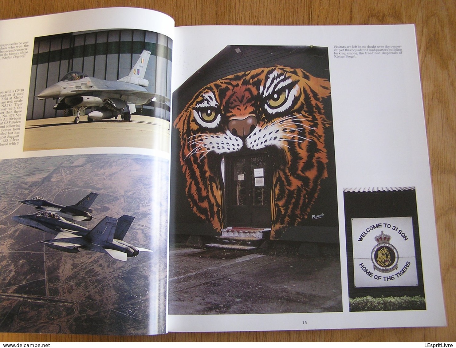 TIGER ! TIGRE ! TIGROS ! RAF Aviation Avion Aircraft F-16 Mirage F-104 Squadron NATO OTAN Tiger Meet Kleine Brogel BAF