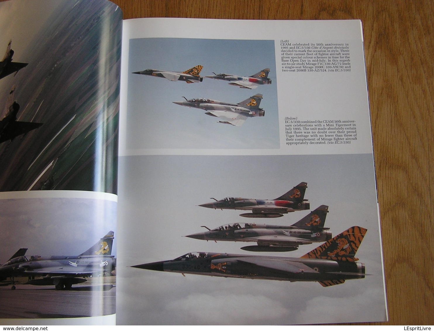 TIGER ! TIGRE ! TIGROS ! RAF Aviation Avion Aircraft F-16 Mirage F-104 Squadron NATO OTAN Tiger Meet Kleine Brogel BAF