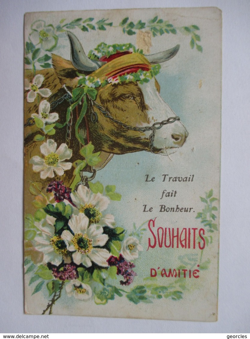 BOEUF   ...    LE  TRAVAIL  FAIT  LE  BONHEUR   .....       TTB - Cows
