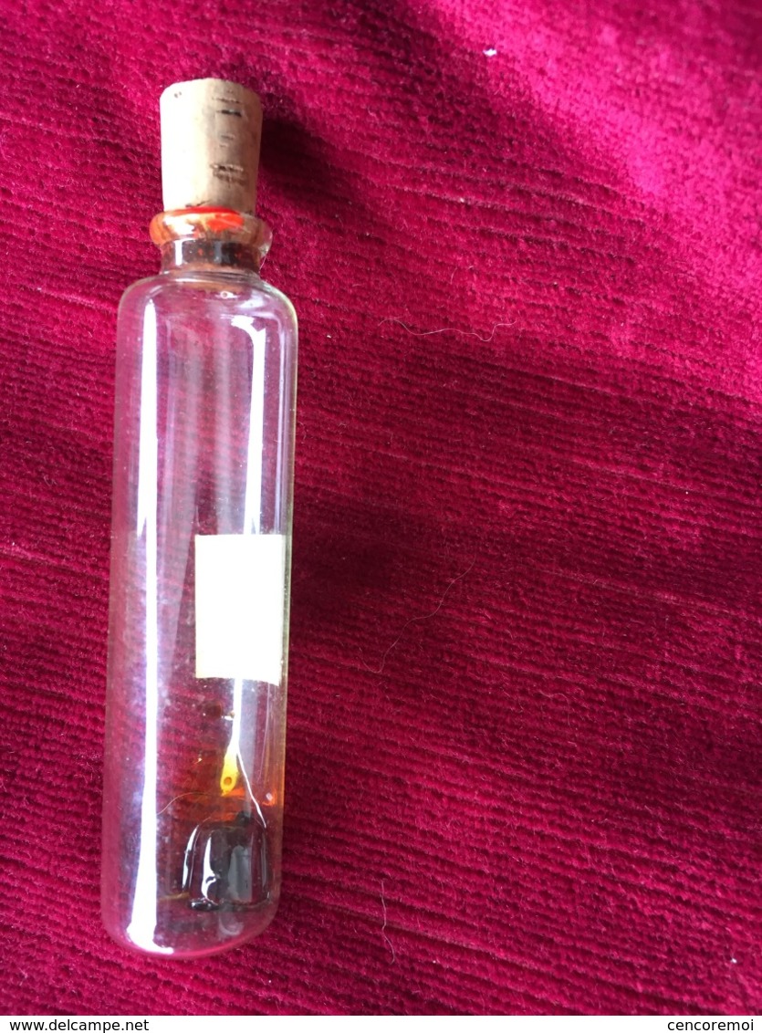 flacon ancien en verre très fin, Parfum des Lys " fougère "