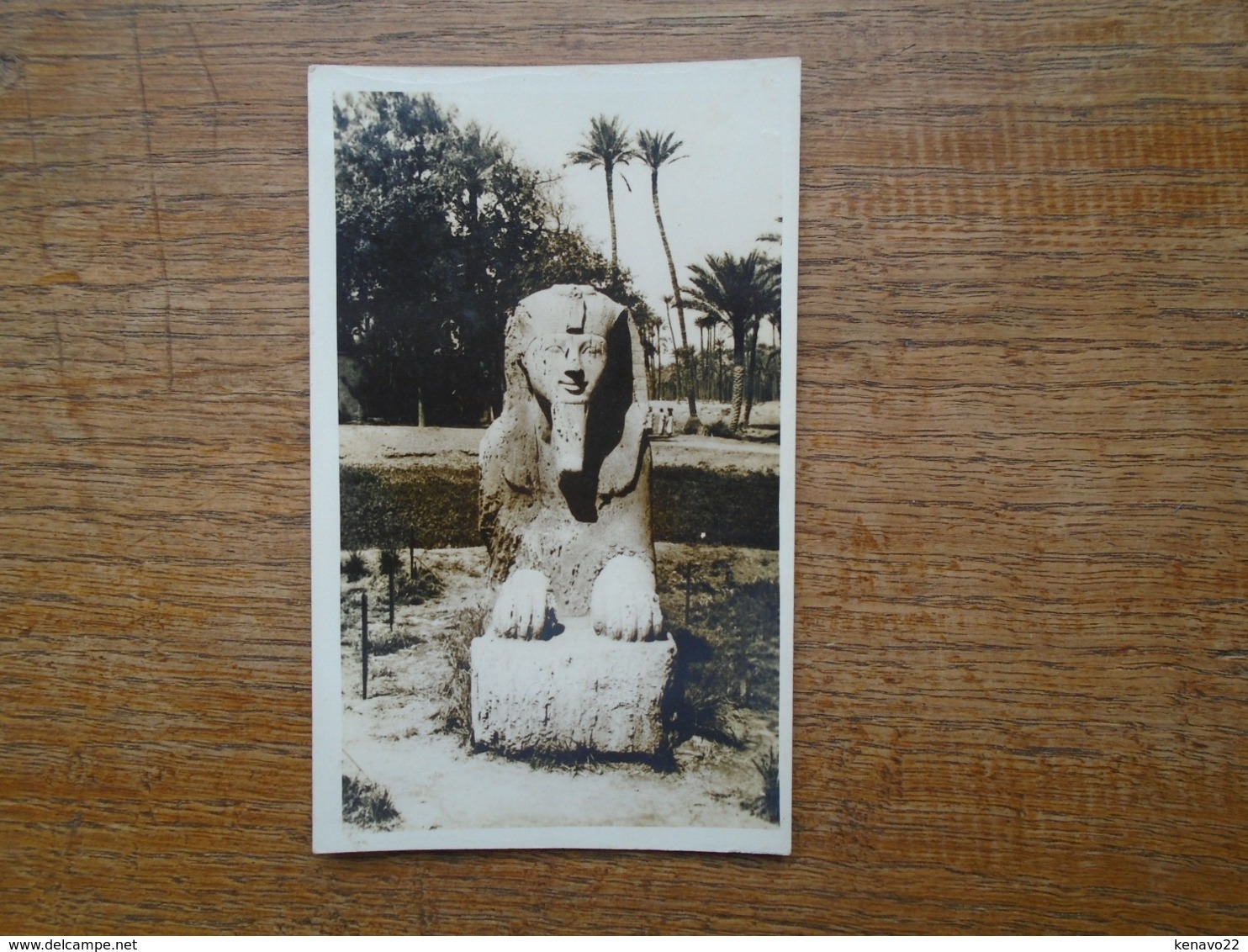 Egypte , Sphinx At Sakkara - Sphynx