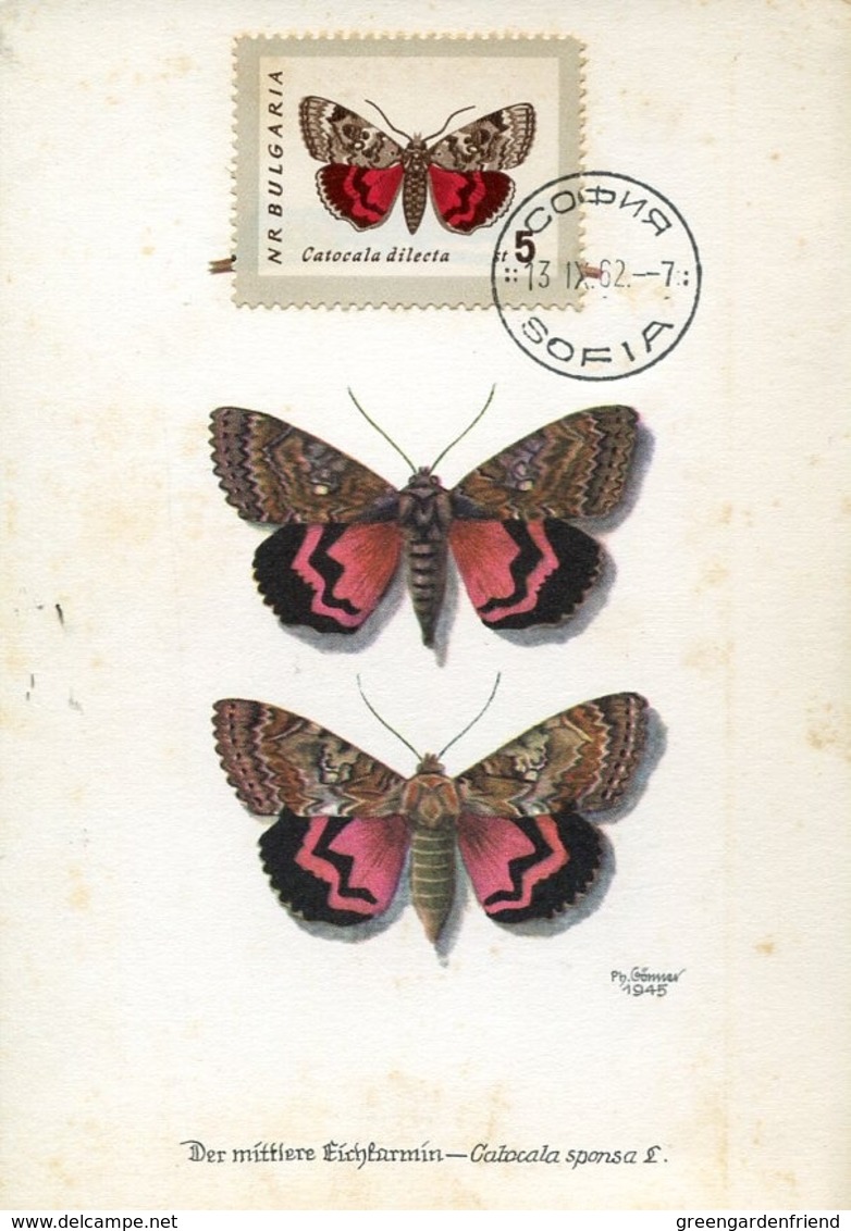 48650  Bulgaria Maximum 1962 Butterfly  Schmetterlinge,  Papillon - Farfalle