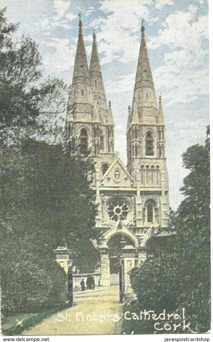 ST. FINBARR'S  CATHEDRAL - CORK - Cork