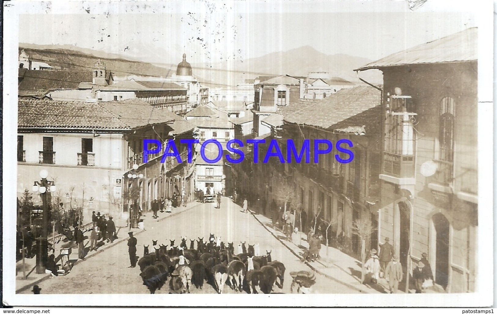 122979 BOLIVIA LA PAZ VISTA PARCIAL & LLAMA CIRCULATED TO ARGENTINA POSTAL POSTCARD - Bolivie