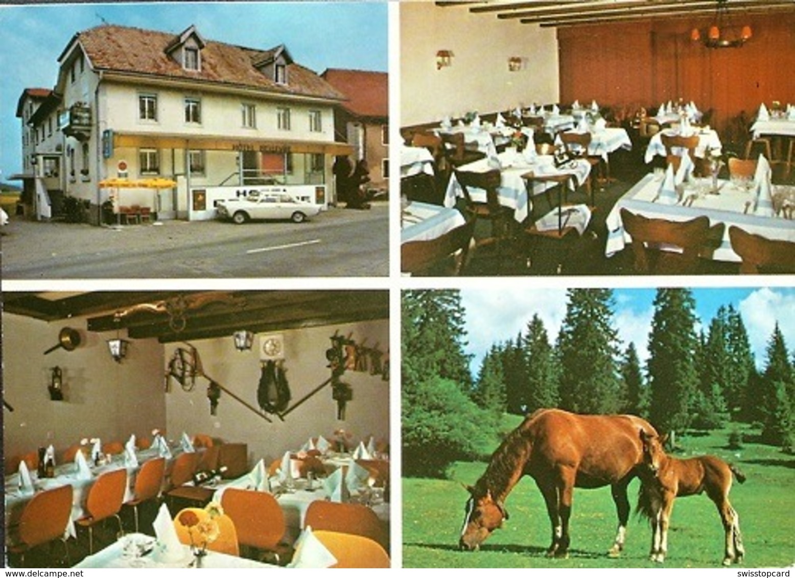 SAIGNELÈGIER Hotel Bellevue Auto Pferde - Saignelégier