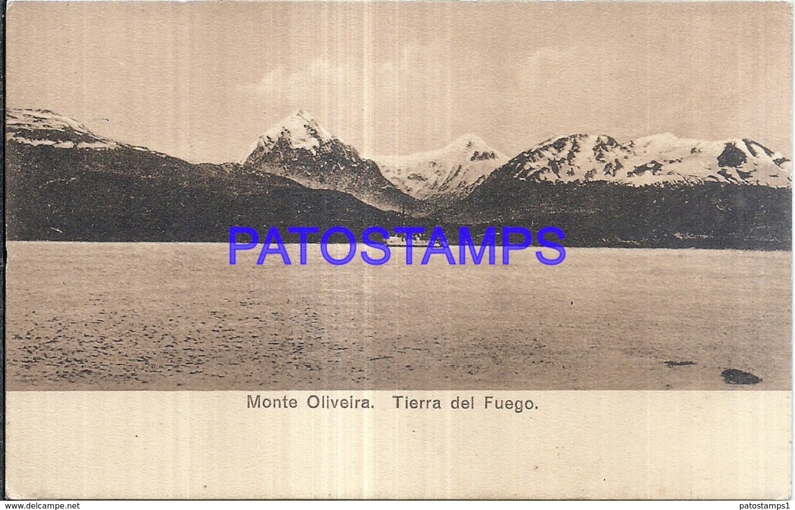 123000 CHILE ARGENTINA TIERRA DEL FUEGO MONTE OLIVEIRA POSTAL POSTCARD - Cile