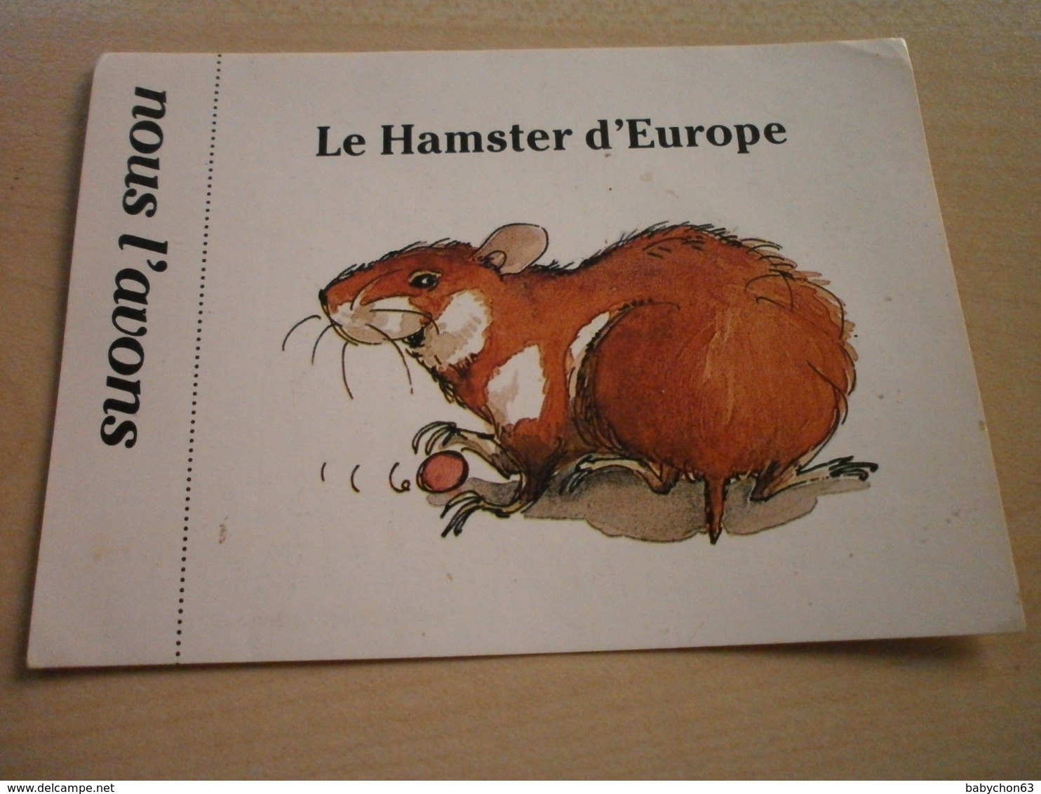 Autocollant Ancien HAMSTER D'EUROPE - Other & Unclassified