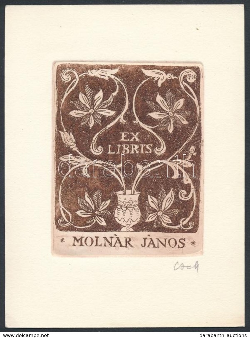 Cseh Gusztáv (1934-1985) Ex Libris Molnár János. Rézkarc, Papír, Jelzett, 9x6 Cm - Otros & Sin Clasificación