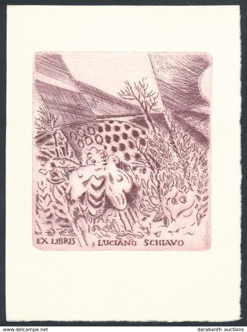 Gianni Trevisan (?-?): Ex Libris Luciano Schiavo. Rézmetszet, Papír, Jelzett A Nyomaton, 7 X 6.5 Cm - Otros & Sin Clasificación