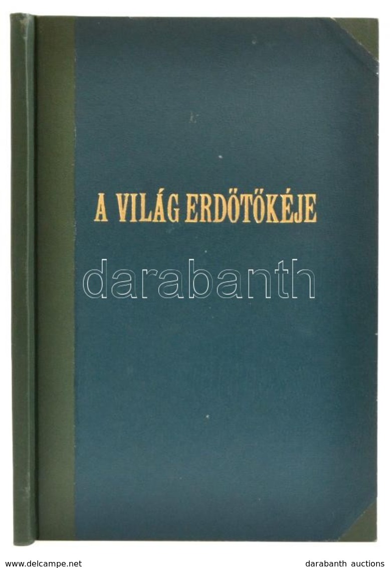 1955 A Világ Erdőtőkéje. A FAO Erdészeti Osztálya által 1953-ban Végrehajtott Leltározás Eredményei. Az Egyesült Nemzete - Sin Clasificación