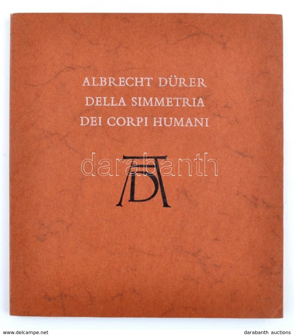 Dr. Tímár László: Albrecht Dürer Della Simmetria Dei Corpi Humani. Bp., 1979, Richter Gedeon. Angol Nyelven, Kiadói Papí - Sin Clasificación