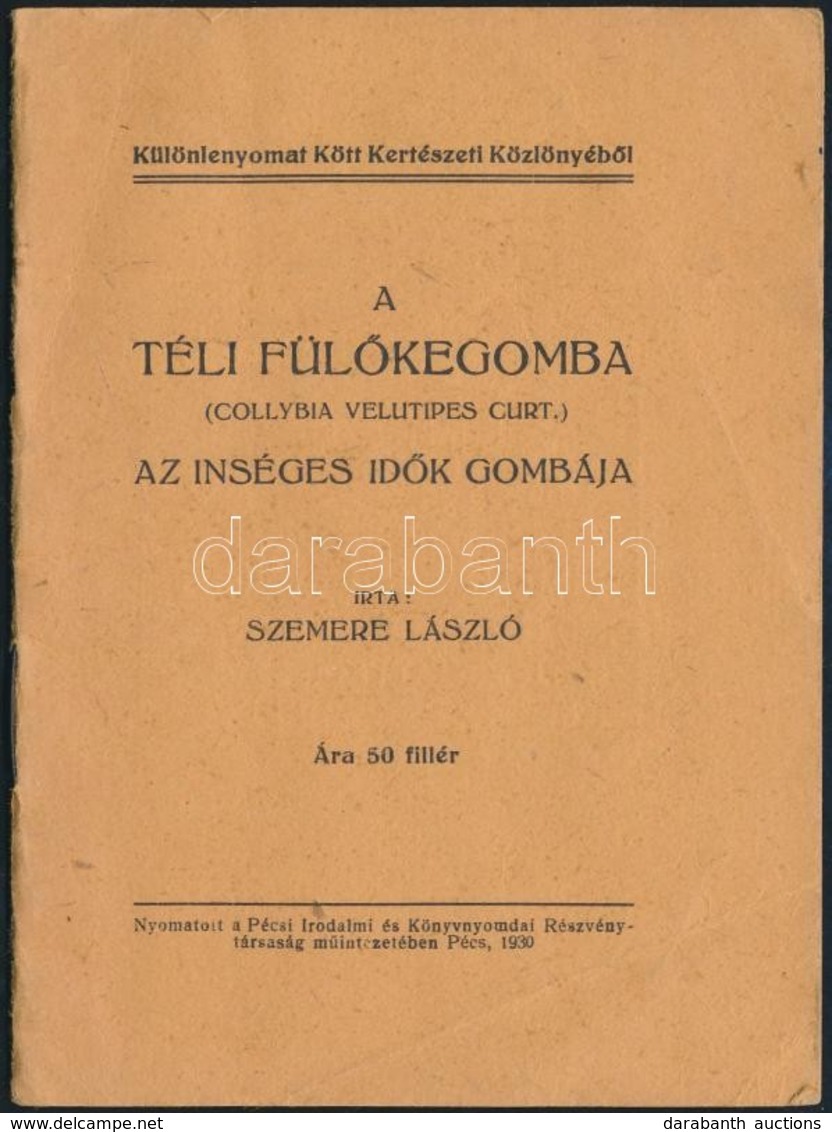 Szemere László: A Téli Fülőkegomba. (Collybia Vellitipes Curt.) Az ínséges Idők Gombája. Különlenyomat KKött Kertészeti  - Sin Clasificación