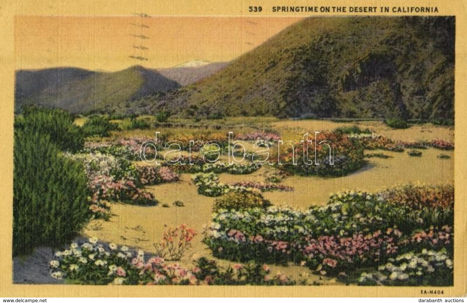 T1/T2 1945 California, Springtime On The Desert - Sin Clasificación