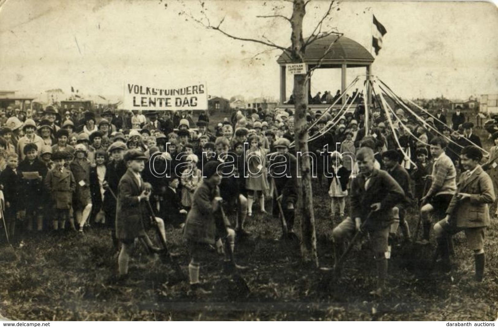 * T2/T3 Volkstuinders Lente Dag, Plataan Lente Boom /  Dutch Allotment Gardening Spring Day. Photo (EK) - Sin Clasificación