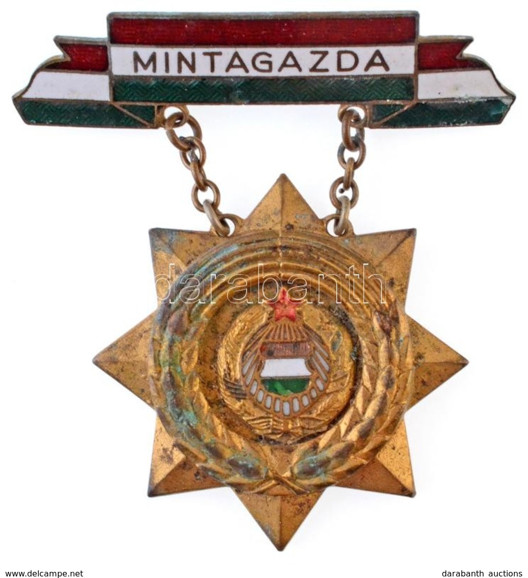 ~1960-1970. 'Mintagazda' Zománcozott Fém Kitüntetés (41mm) T:2 Zománchiány - Sin Clasificación