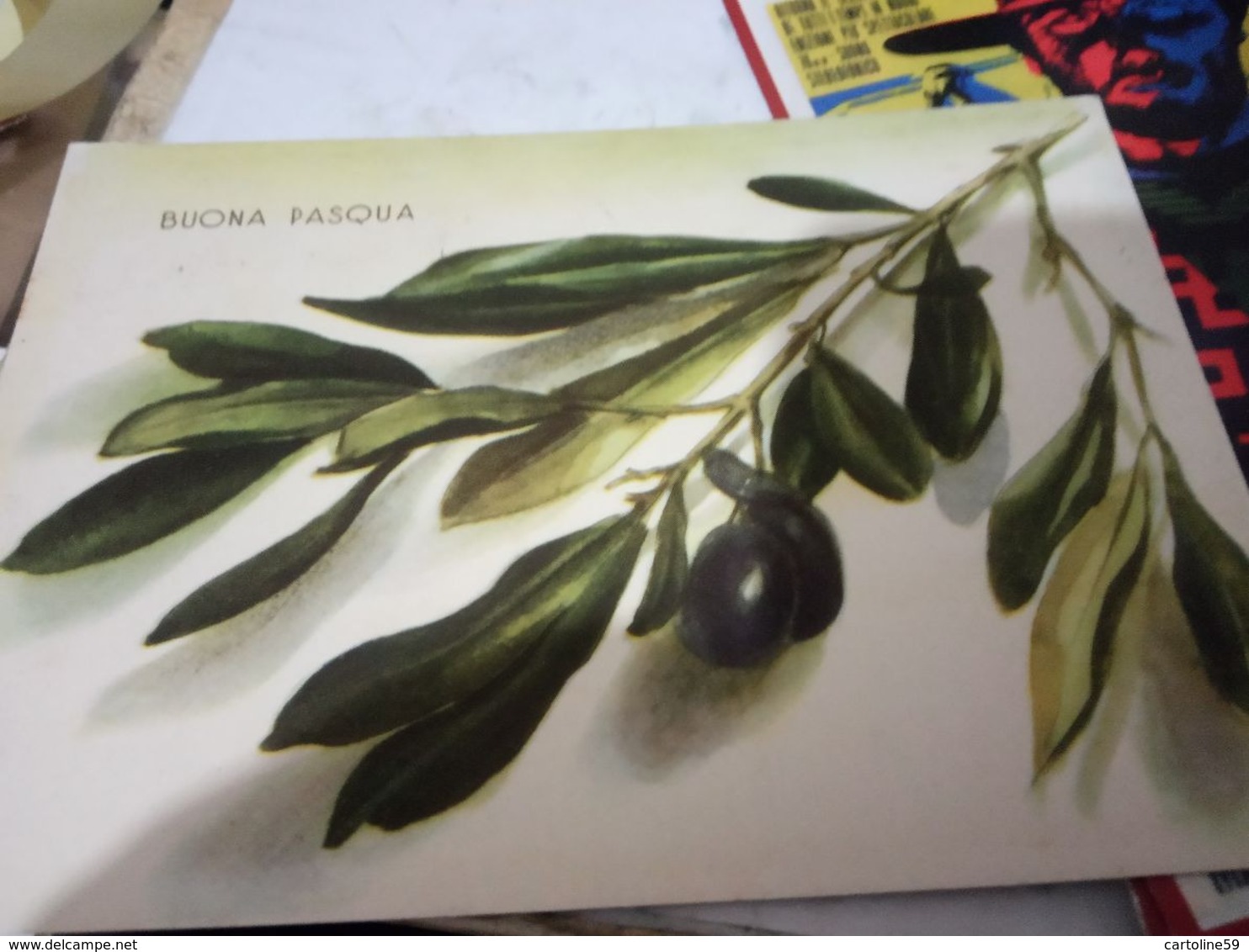 OLIVO  OLIVE OLIVEN ILLUSTRATA BUONA PASQUA  VB1941  HG1335 - Alberi