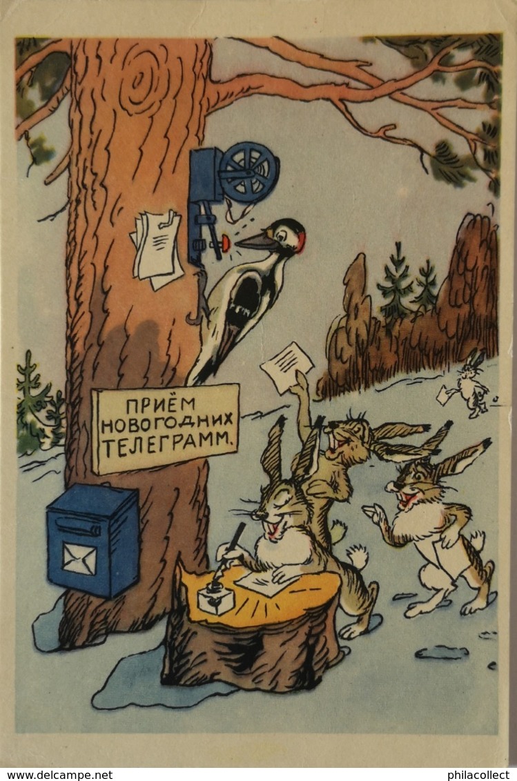 Russia - CCCP // 10 X 15 // Children Cards - Fairy Tales Etc // No 12. /19?? - Contes, Fables & Légendes