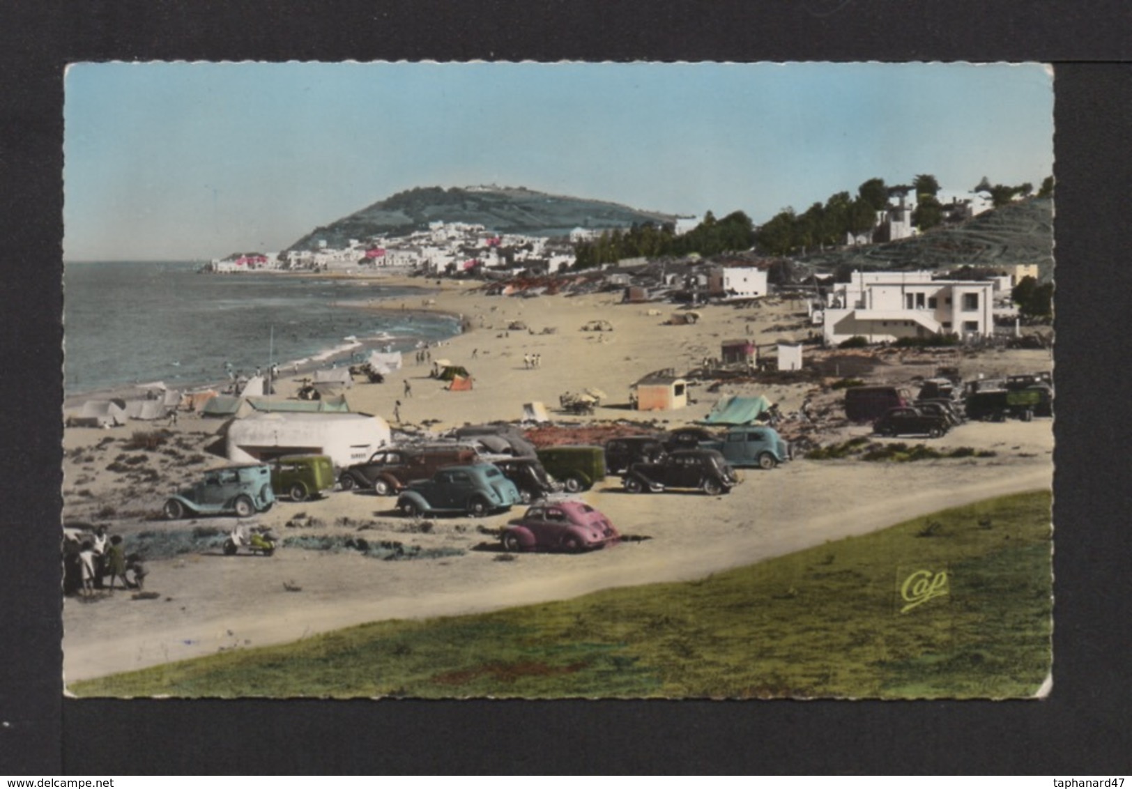 CPSM Pf . TUNISIE . GAMMARTH . Un Coin De La Plage . Voitures . - Tunisie