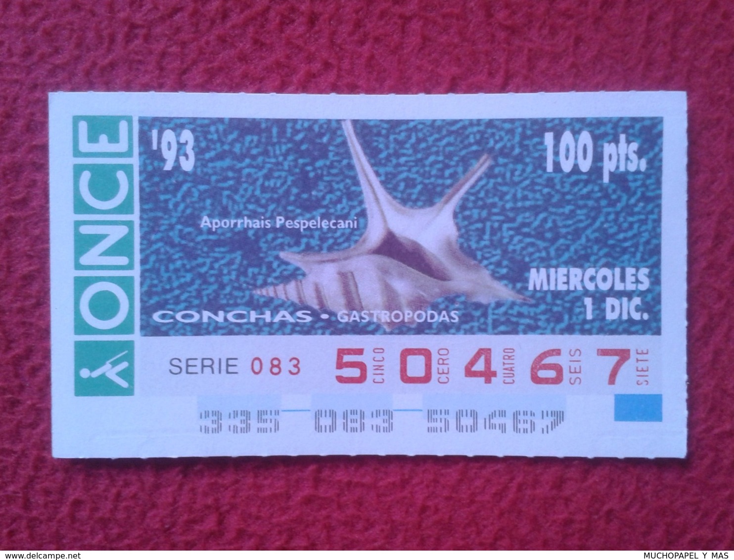 CUPÓN DE ONCE 1993 LOTTERY LOTERIE SPAIN LOTERÍA CONCHAS MARINAS O SIMIL MARINE SHELLS SHELL COQUILLAGES THE SEA CONCHA - Billetes De Lotería