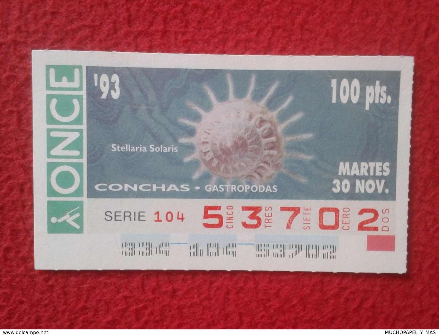 CUPÓN DE ONCE 1993 LOTTERY LOTERIE SPAIN LOTERÍA CONCHAS MARINAS O SIMIL MARINE SHELLS SHELL COQUILLAGES THE SEA CONCHA - Billetes De Lotería