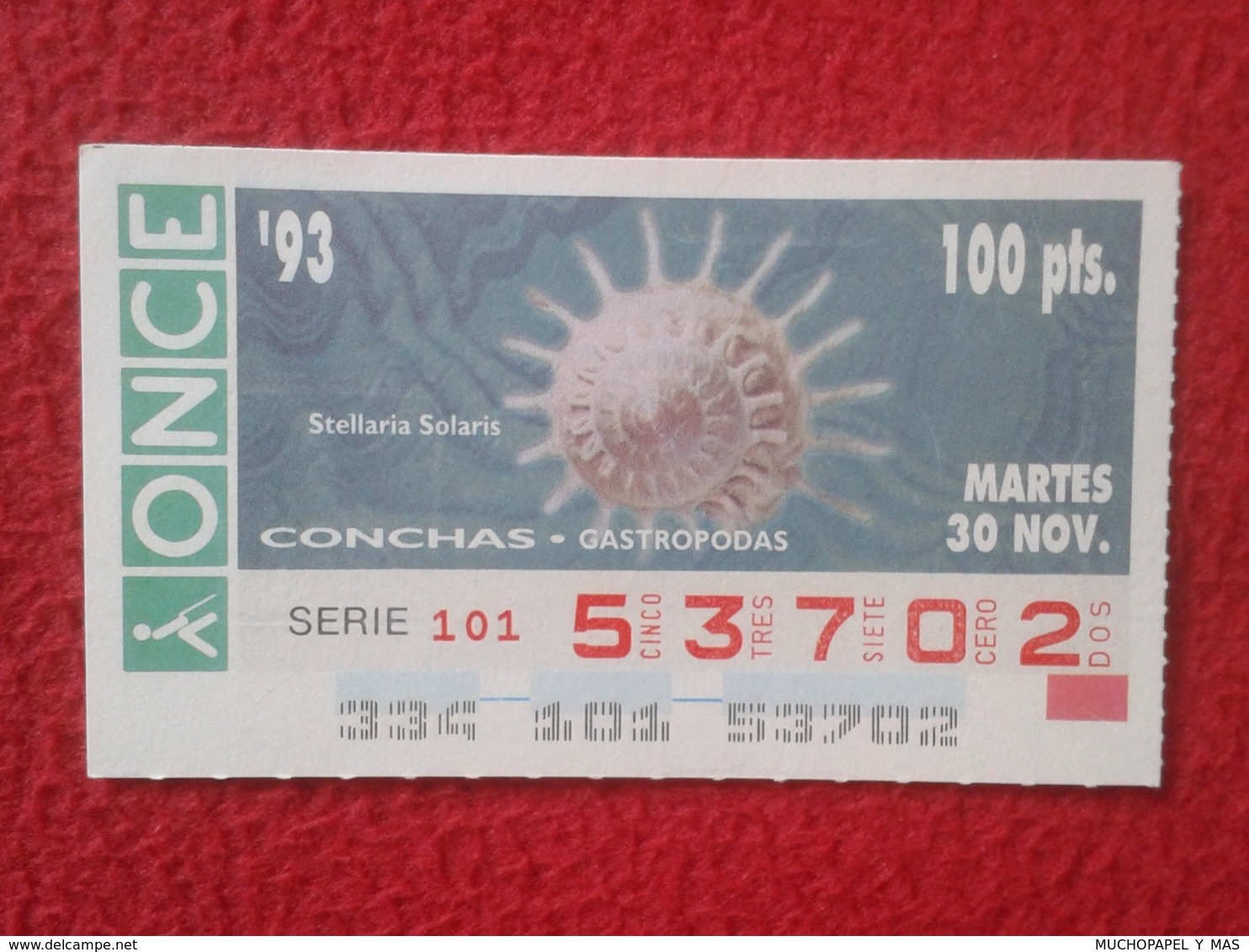 CUPÓN DE ONCE 1993 LOTTERY LOTERIE SPAIN LOTERÍA CONCHAS MARINAS O SIMIL MARINE SHELLS SHELL COQUILLAGES THE SEA CONCHA - Billetes De Lotería