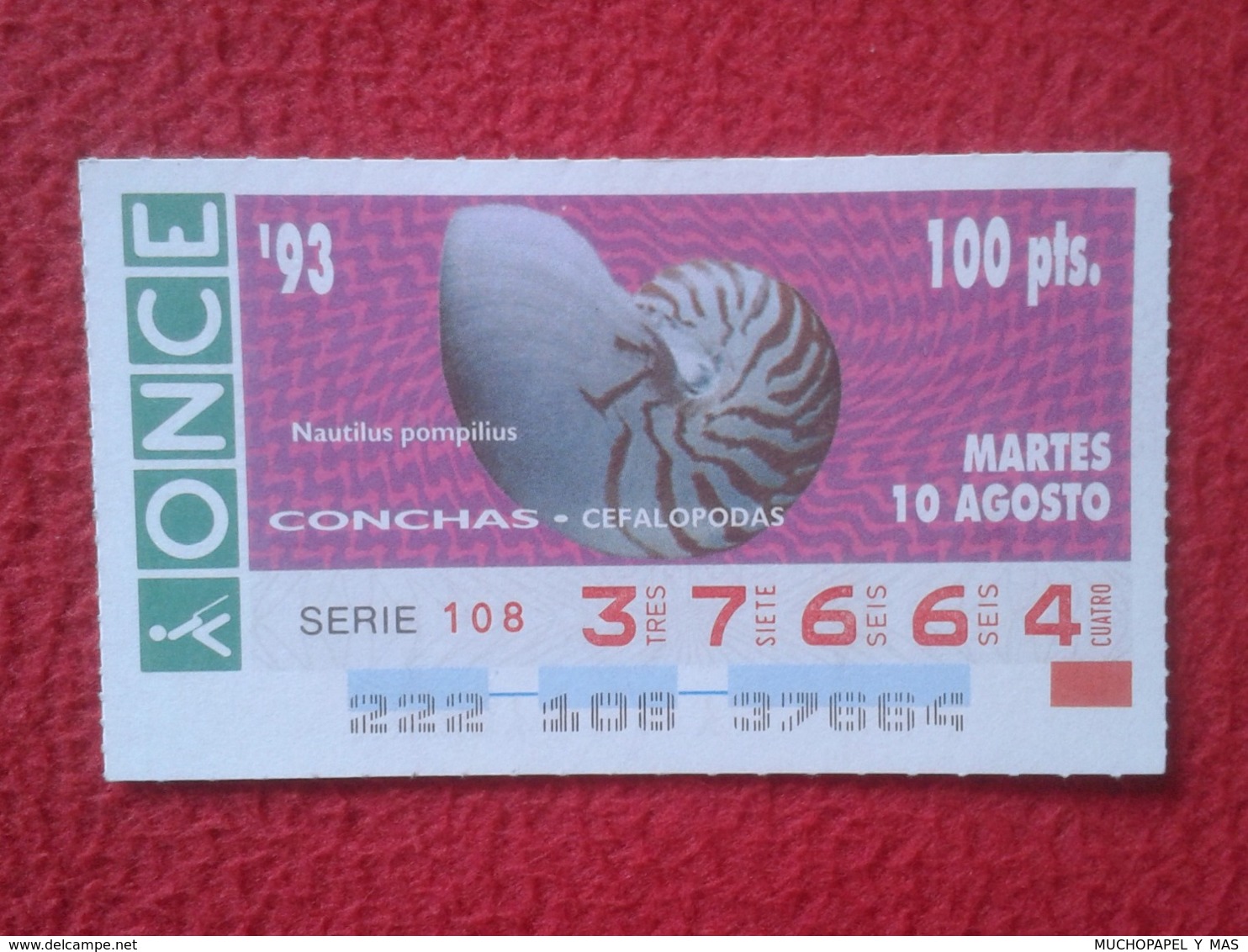 CUPÓN DE ONCE 1993 LOTTERY LOTERIE SPAIN LOTERÍA CONCHAS MARINAS O SIMIL MARINE SHELLS SHELL COQUILLAGES THE SEA CONCHA - Billetes De Lotería