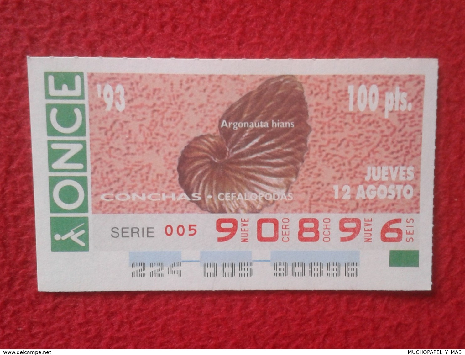 CUPÓN DE ONCE 1993 LOTTERY LOTERIE SPAIN LOTERÍA CONCHAS MARINAS O SIMIL MARINE SHELLS SHELL COQUILLAGES THE SEA CONCHA - Billetes De Lotería