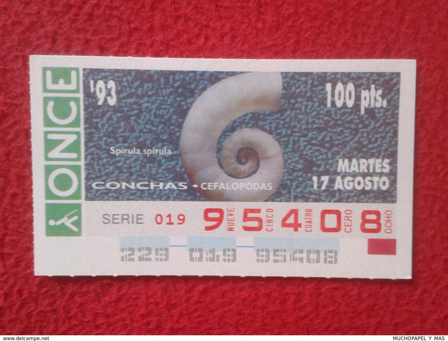 CUPÓN DE ONCE 1993 LOTTERY LOTERIE SPAIN LOTERÍA CONCHAS MARINAS O SIMIL MARINE SHELLS SHELL COQUILLAGES THE SEA CONCHA - Billetes De Lotería