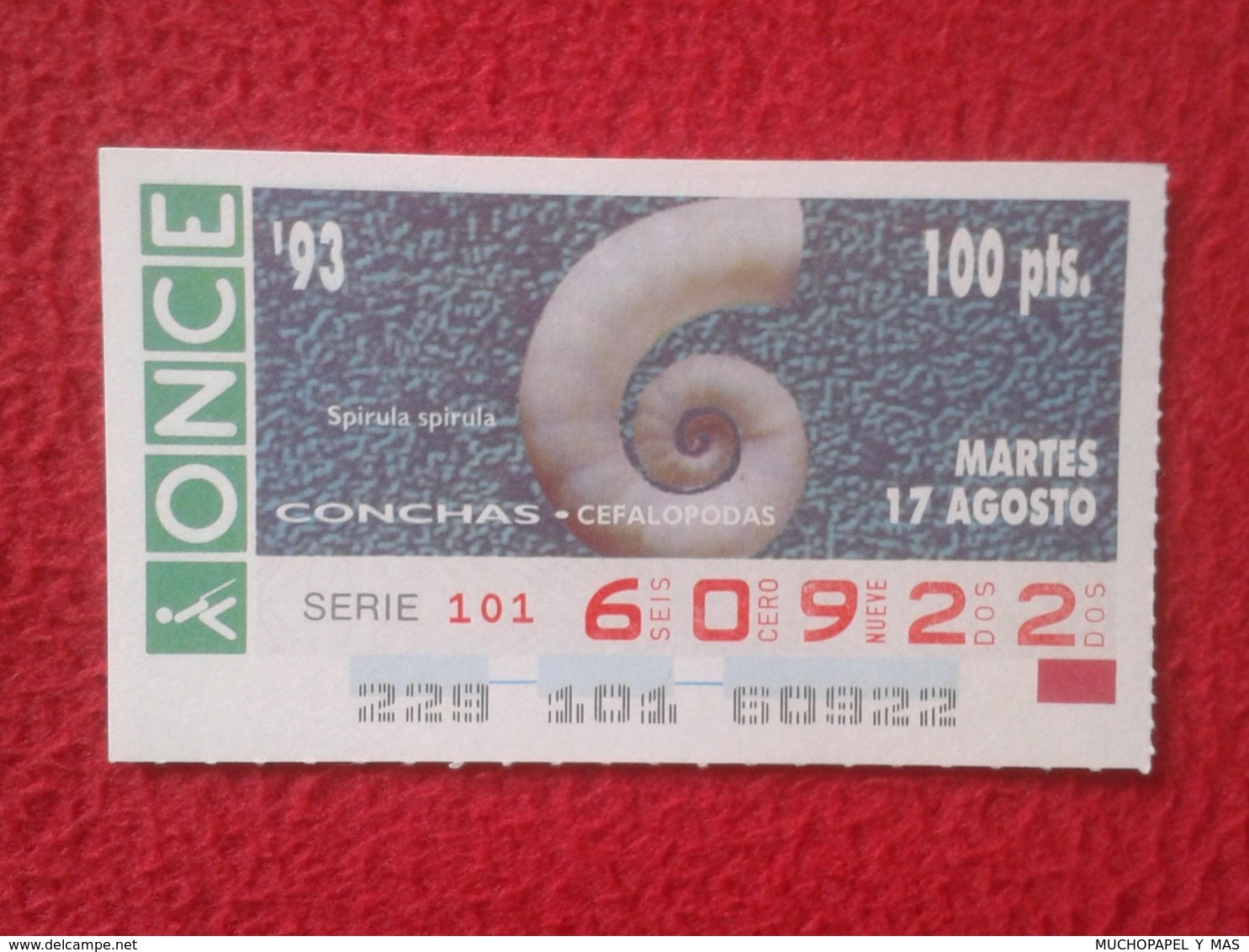 CUPÓN DE ONCE 1993 LOTTERY LOTERIE SPAIN LOTERÍA CONCHAS MARINAS O SIMIL MARINE SHELLS SHELL COQUILLAGES THE SEA CONCHA - Billetes De Lotería