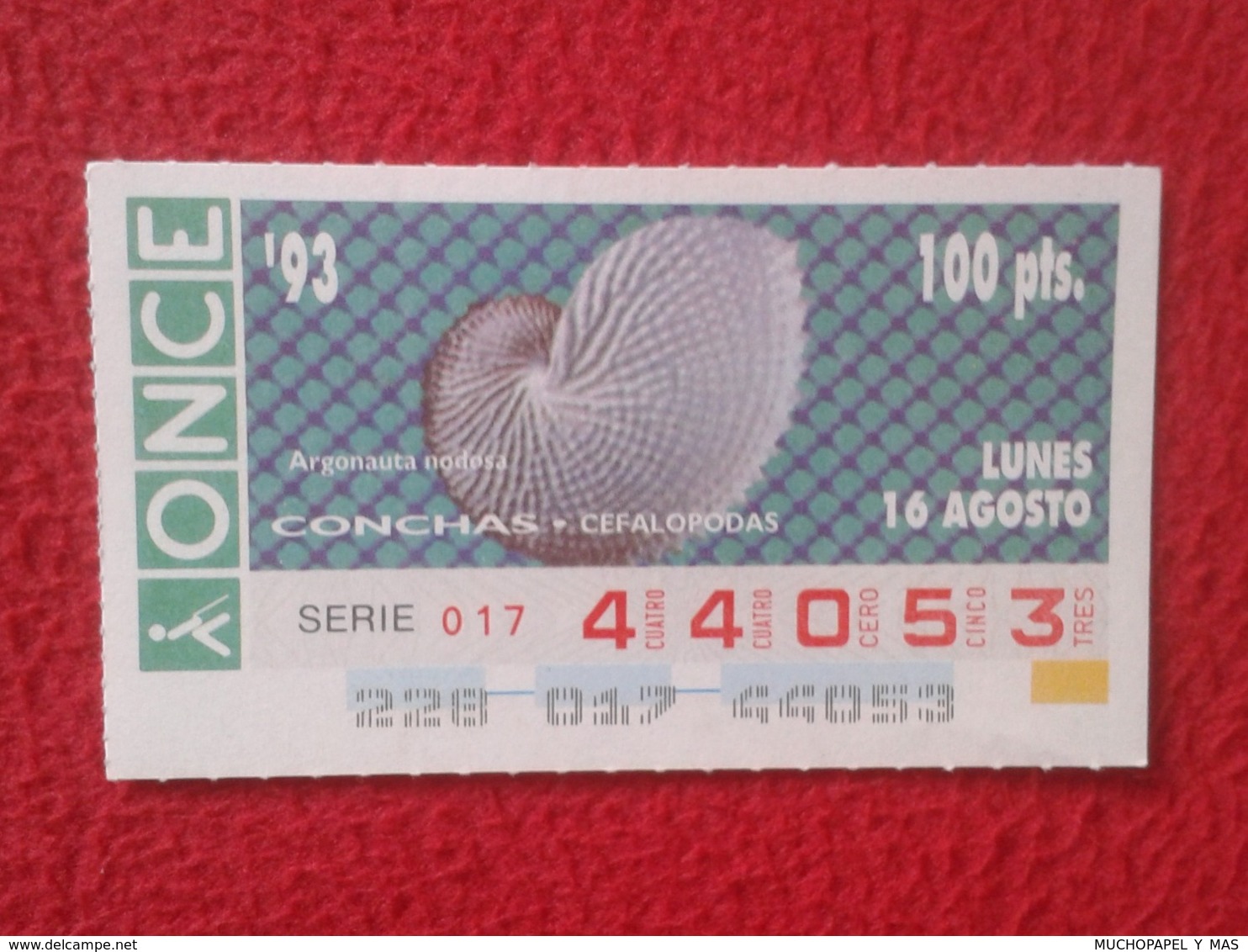 CUPÓN DE ONCE 1993 LOTTERY LOTERIE SPAIN LOTERÍA CONCHAS MARINAS O SIMIL MARINE SHELLS SHELL COQUILLAGES THE SEA CONCHA - Billetes De Lotería