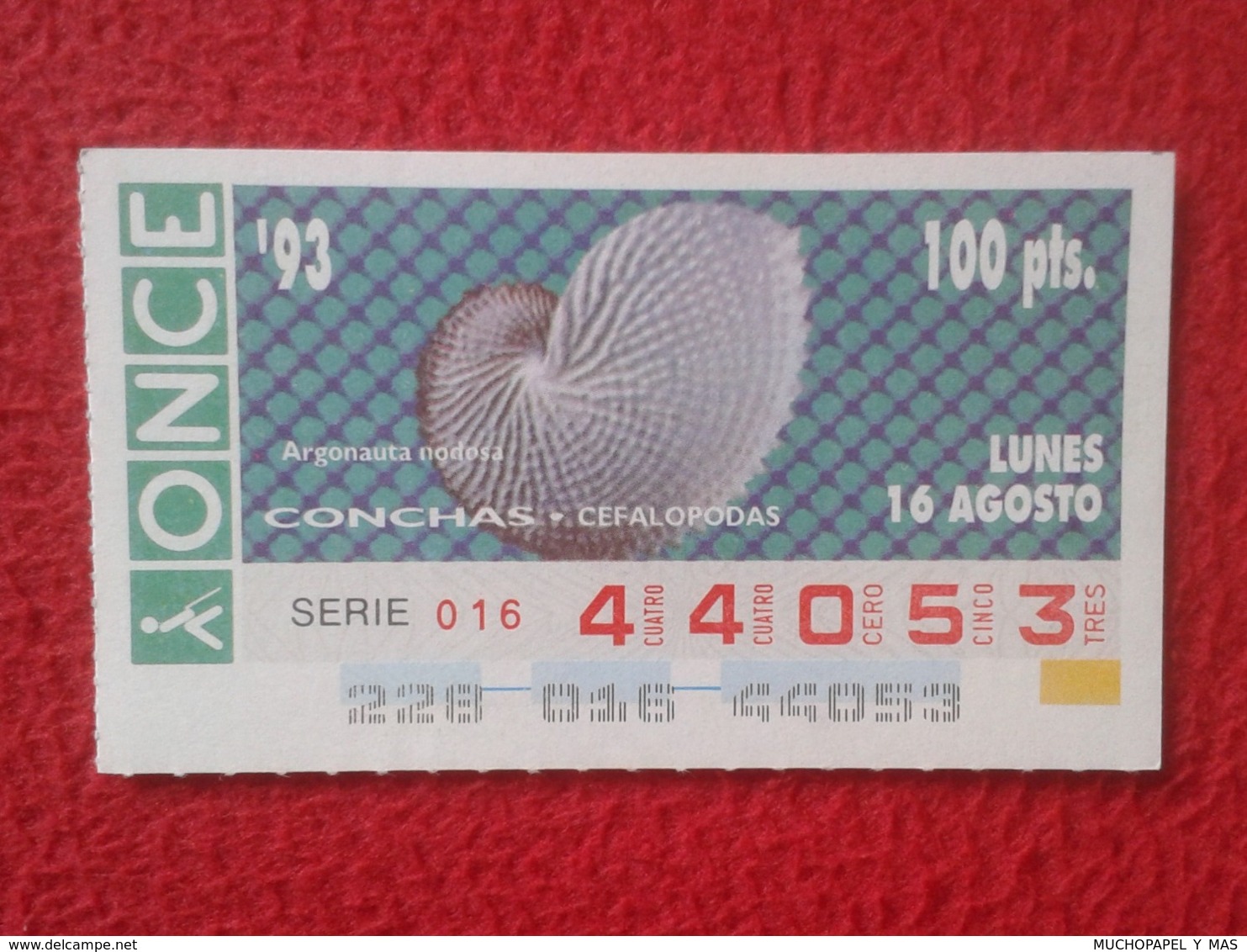 CUPÓN DE ONCE 1993 LOTTERY LOTERIE SPAIN LOTERÍA CONCHAS MARINAS O SIMIL MARINE SHELLS SHELL COQUILLAGES THE SEA CONCHA - Billetes De Lotería