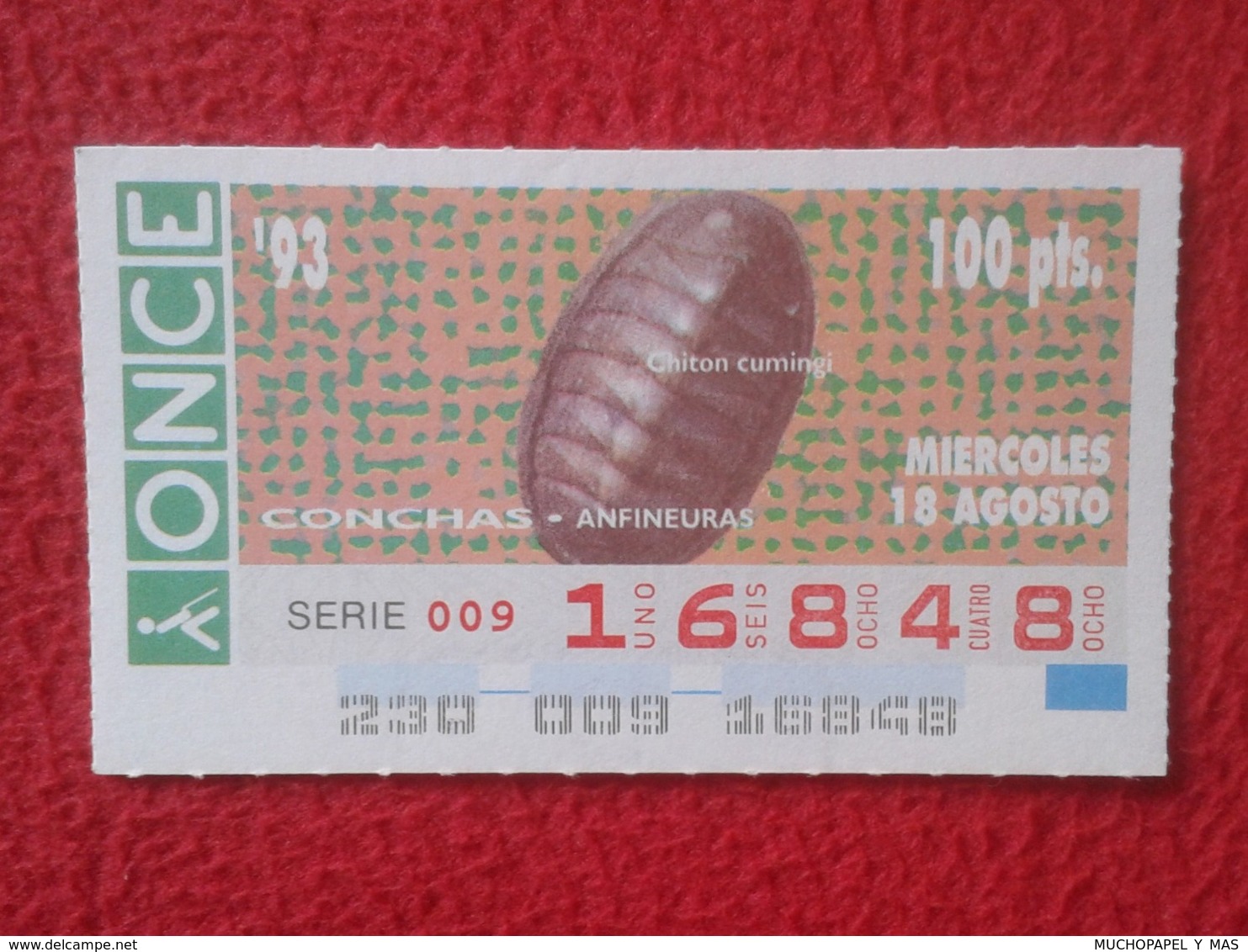 CUPÓN DE ONCE 1993 LOTTERY LOTERIE SPAIN LOTERÍA CONCHAS MARINAS O SIMIL MARINE SHELLS SHELL COQUILLAGES THE SEA CONCHA - Billetes De Lotería