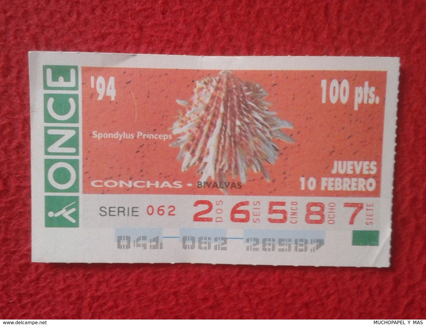 CUPÓN DE ONCE 1994 LOTTERY LOTERIE SPAIN LOTERÍA CONCHAS MARINAS O SIMIL MARINE SHELLS SHELL COQUILLAGES THE SEA CONCHA - Billetes De Lotería