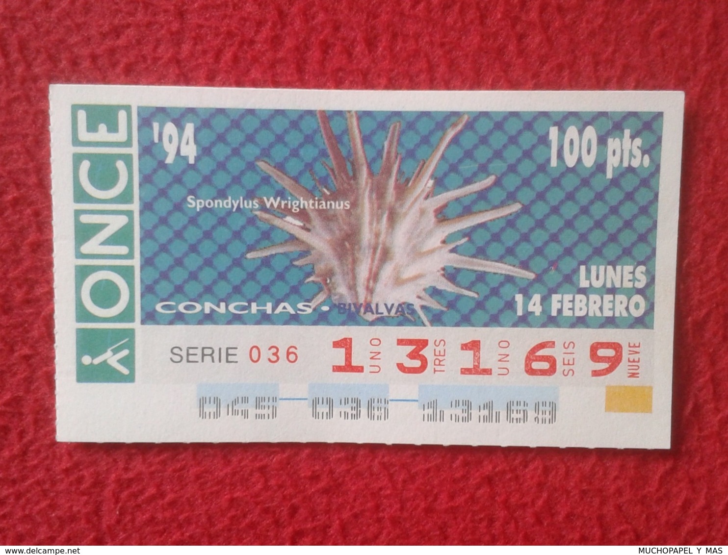 CUPÓN DE ONCE 1994 LOTTERY LOTERIE SPAIN LOTERÍA CONCHAS MARINAS O SIMIL MARINE SHELLS SHELL COQUILLAGES THE SEA CONCHA - Billetes De Lotería