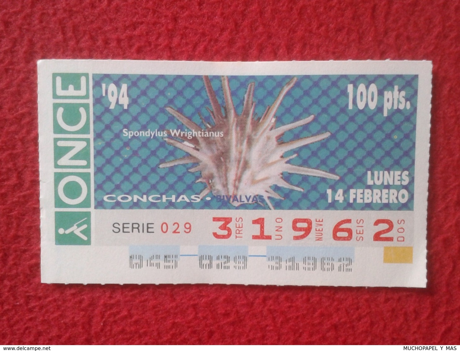 CUPÓN DE ONCE 1994 LOTTERY LOTERIE SPAIN LOTERÍA CONCHAS MARINAS O SIMIL MARINE SHELLS SHELL COQUILLAGES THE SEA CONCHA - Billetes De Lotería