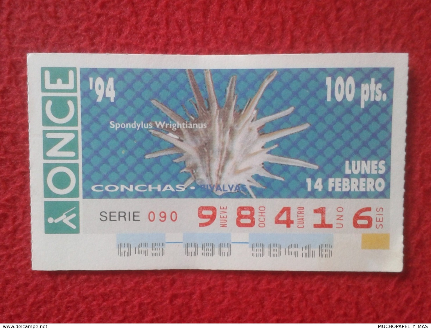 CUPÓN DE ONCE 1994 LOTTERY LOTERIE SPAIN LOTERÍA CONCHAS MARINAS O SIMIL MARINE SHELLS SHELL COQUILLAGES THE SEA CONCHA - Billets De Loterie