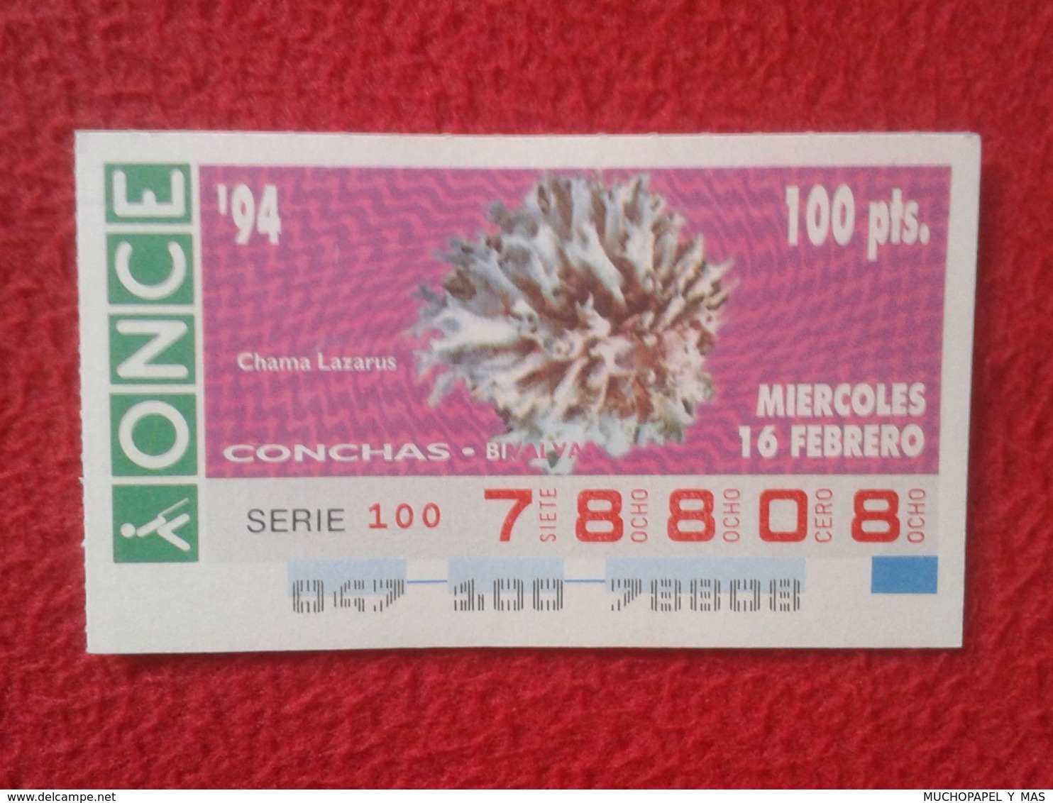 CUPÓN DE ONCE 1994 LOTTERY LOTERIE SPAIN LOTERÍA CONCHAS MARINAS O SIMIL MARINE SHELLS SHELL COQUILLAGES THE SEA CONCHA - Billetes De Lotería