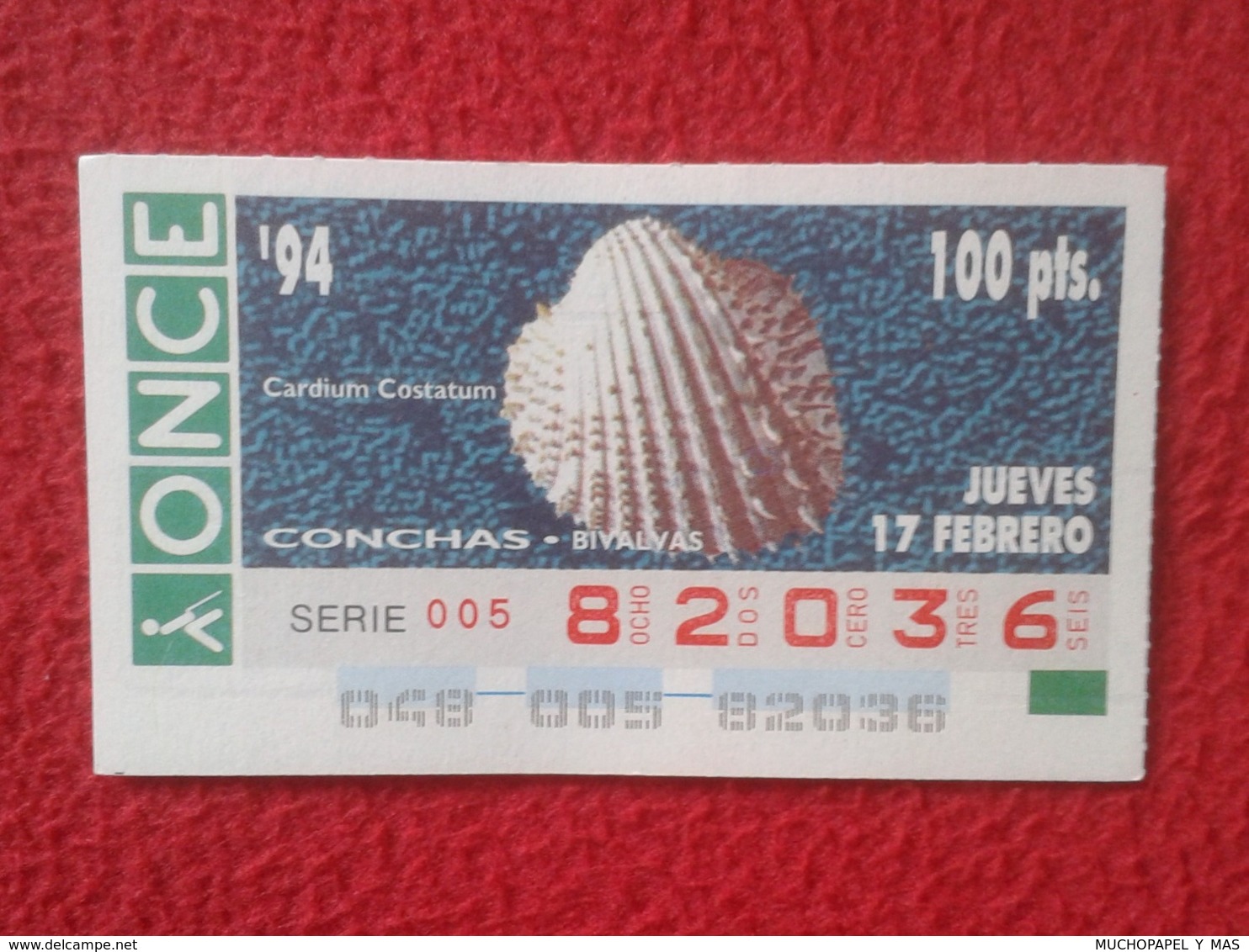 CUPÓN DE ONCE 1994 LOTTERY LOTERIE SPAIN LOTERÍA CONCHAS MARINAS O SIMIL MARINE SHELLS SHELL COQUILLAGES THE SEA CONCHA - Billetes De Lotería