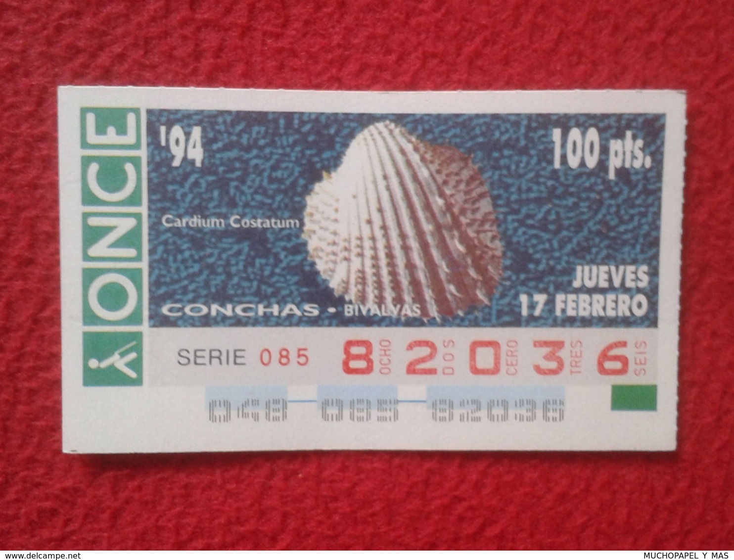 CUPÓN DE ONCE 1994 LOTTERY LOTERIE SPAIN LOTERÍA CONCHAS MARINAS O SIMIL MARINE SHELLS SHELL COQUILLAGES THE SEA CONCHA - Billetes De Lotería