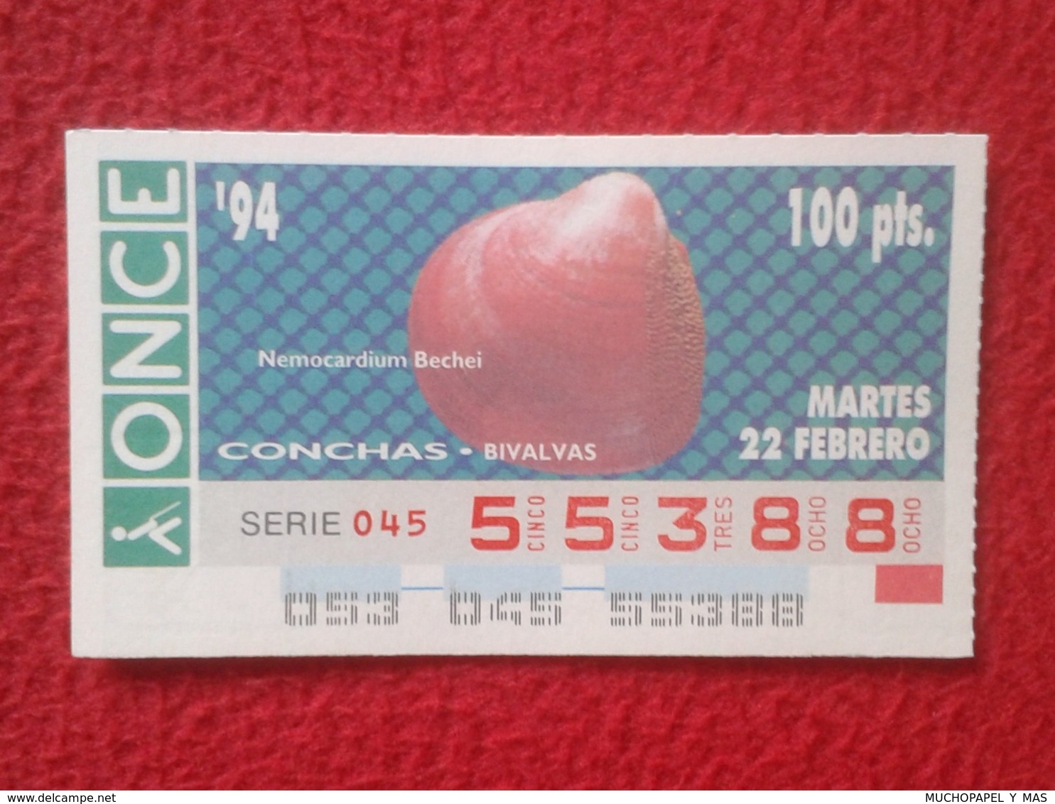 CUPÓN DE ONCE 1994 LOTTERY LOTERIE SPAIN LOTERÍA CONCHAS MARINAS O SIMIL MARINE SHELLS SHELL COQUILLAGES THE SEA CONCHA - Billetes De Lotería