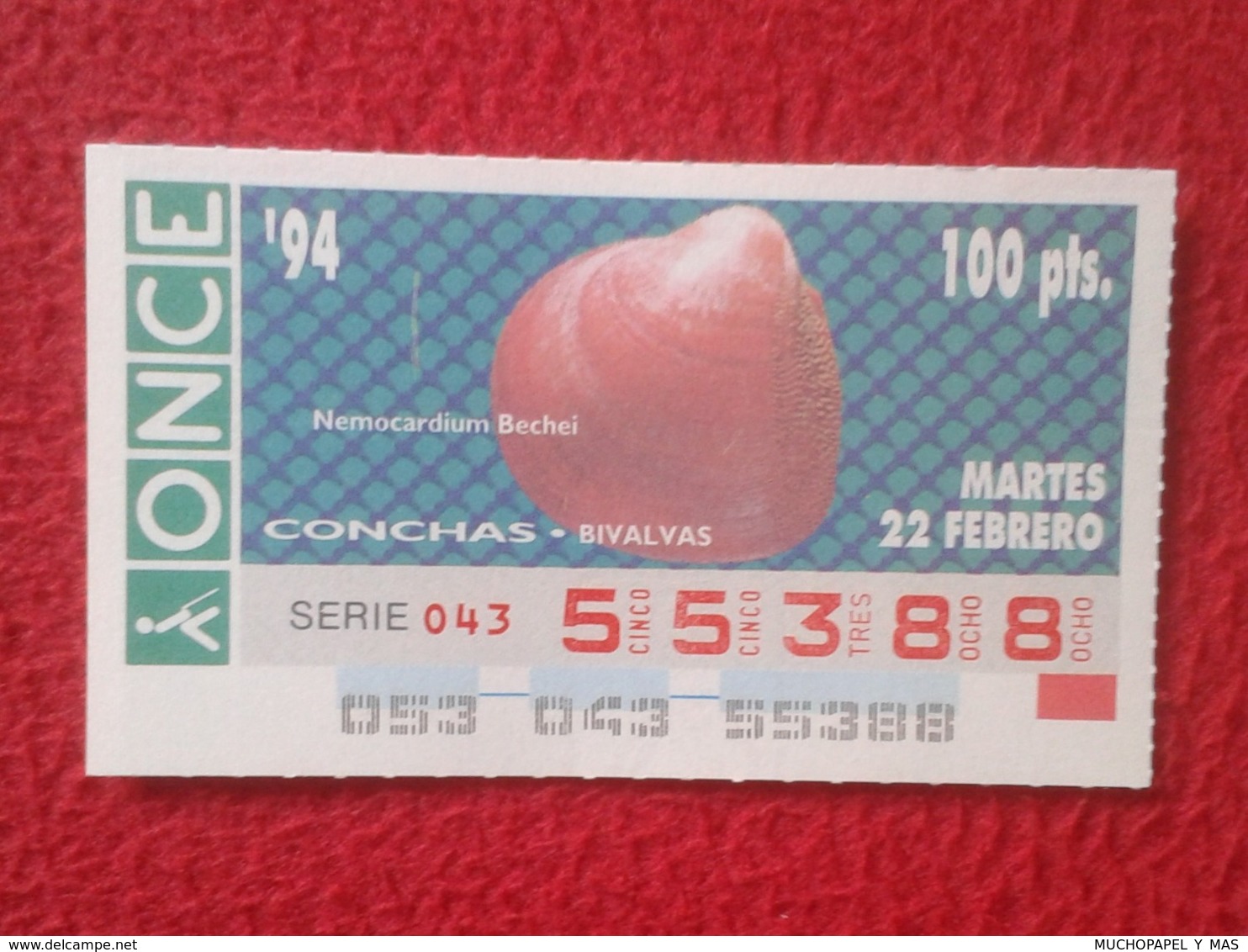 CUPÓN DE ONCE 1994 LOTTERY LOTERIE SPAIN LOTERÍA CONCHAS MARINAS O SIMIL MARINE SHELLS SHELL COQUILLAGES THE SEA CONCHA - Billetes De Lotería