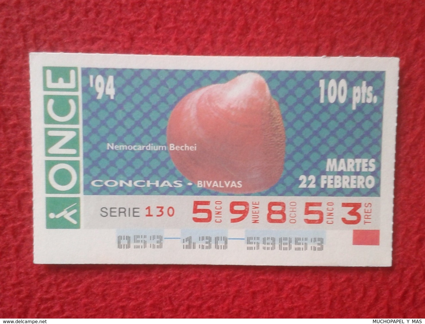 CUPÓN DE ONCE 1994 LOTTERY LOTERIE SPAIN LOTERÍA CONCHAS MARINAS O SIMIL MARINE SHELLS SHELL COQUILLAGES THE SEA CONCHA - Billetes De Lotería