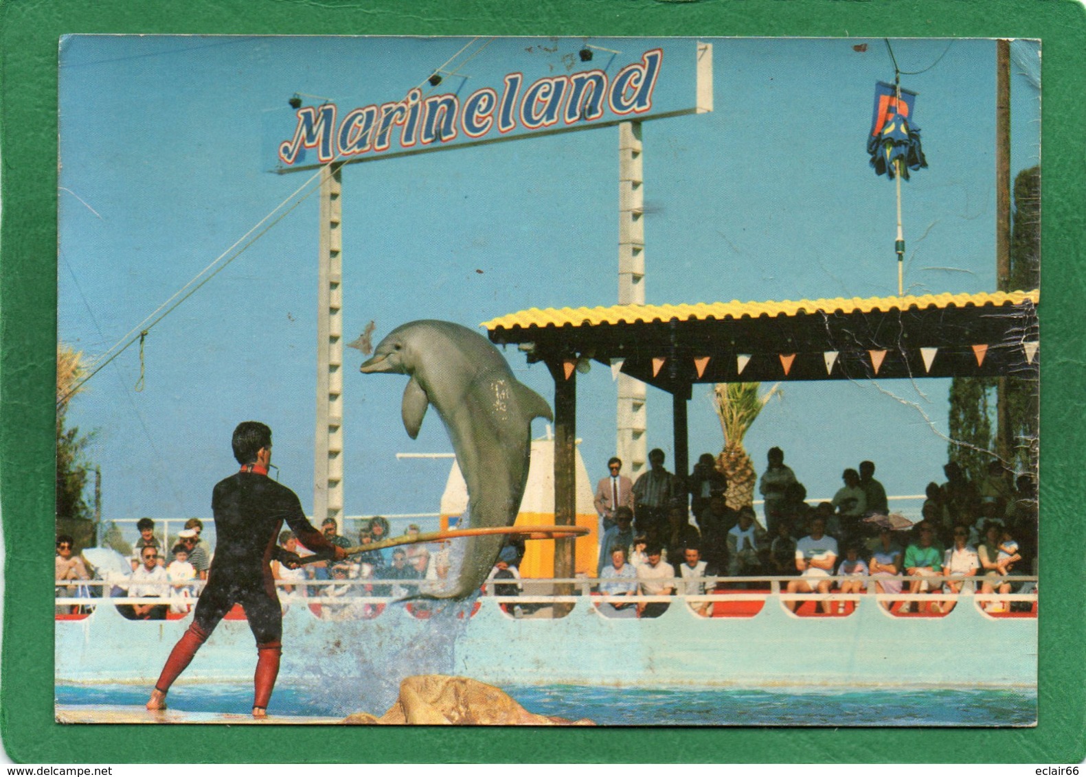 MARINELAND D ANTIBES ROUTE DE BIOT DAUPHINS  CPM 1986 Collection Marineland  VIGUIER état Trés Moyen Petit Prix - Delfini