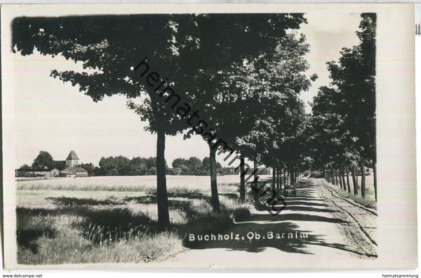 Buchholz Oberbarnim - Foto-Ansichtskarte Ohne Verlagsangabe 30er Jahre - Altlandsberg