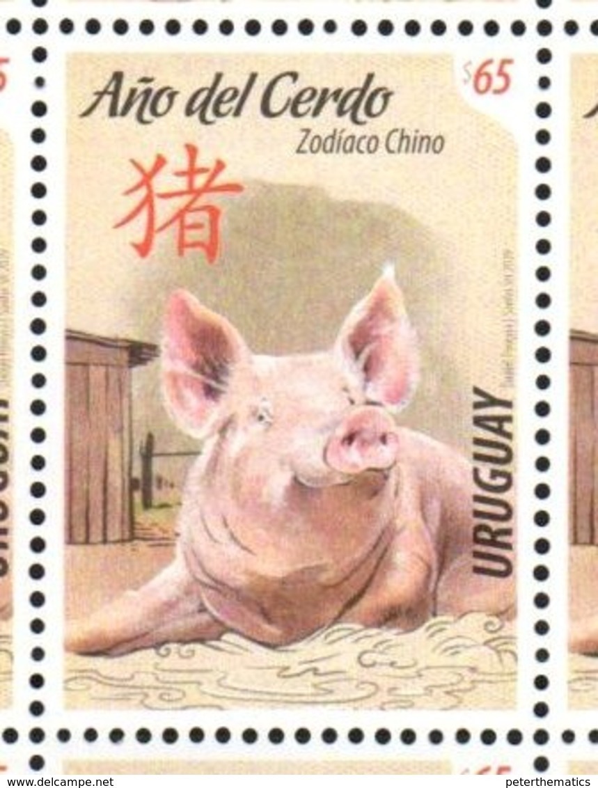 URUGUAY,2019, MNH, CHINESE NEW YEAR, YEAR OF THE PIG, 1v - Nouvel An Chinois