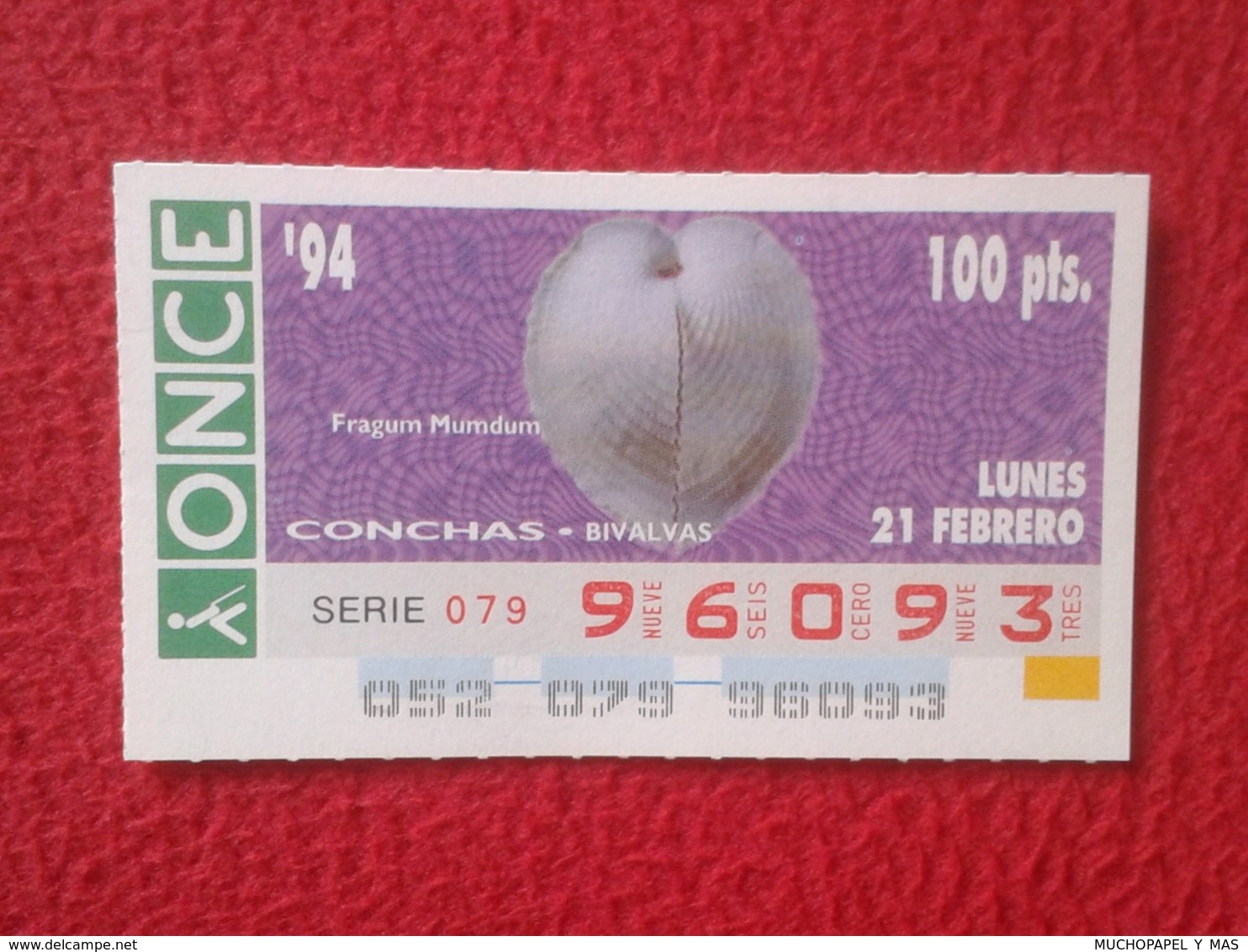 CUPÓN DE ONCE 1994 LOTTERY LOTERIE SPAIN LOTERÍA CONCHAS MARINAS O SIMIL MARINE SHELLS SHELL COQUILLAGES THE SEA CONCHA - Billetes De Lotería