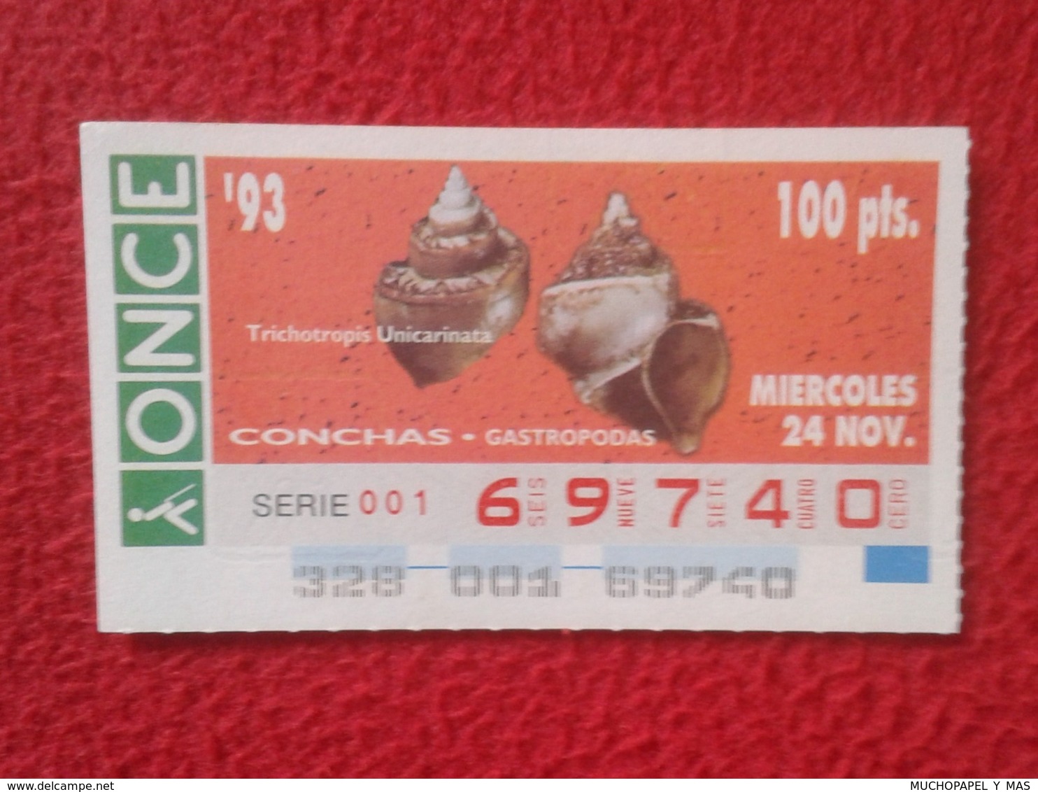 CUPÓN DE ONCE 1993 LOTTERY LOTERIE SPAIN LOTERÍA CONCHAS MARINAS O SIMIL MARINE SHELLS SHELL COQUILLAGES THE SEA CONCHA - Billetes De Lotería