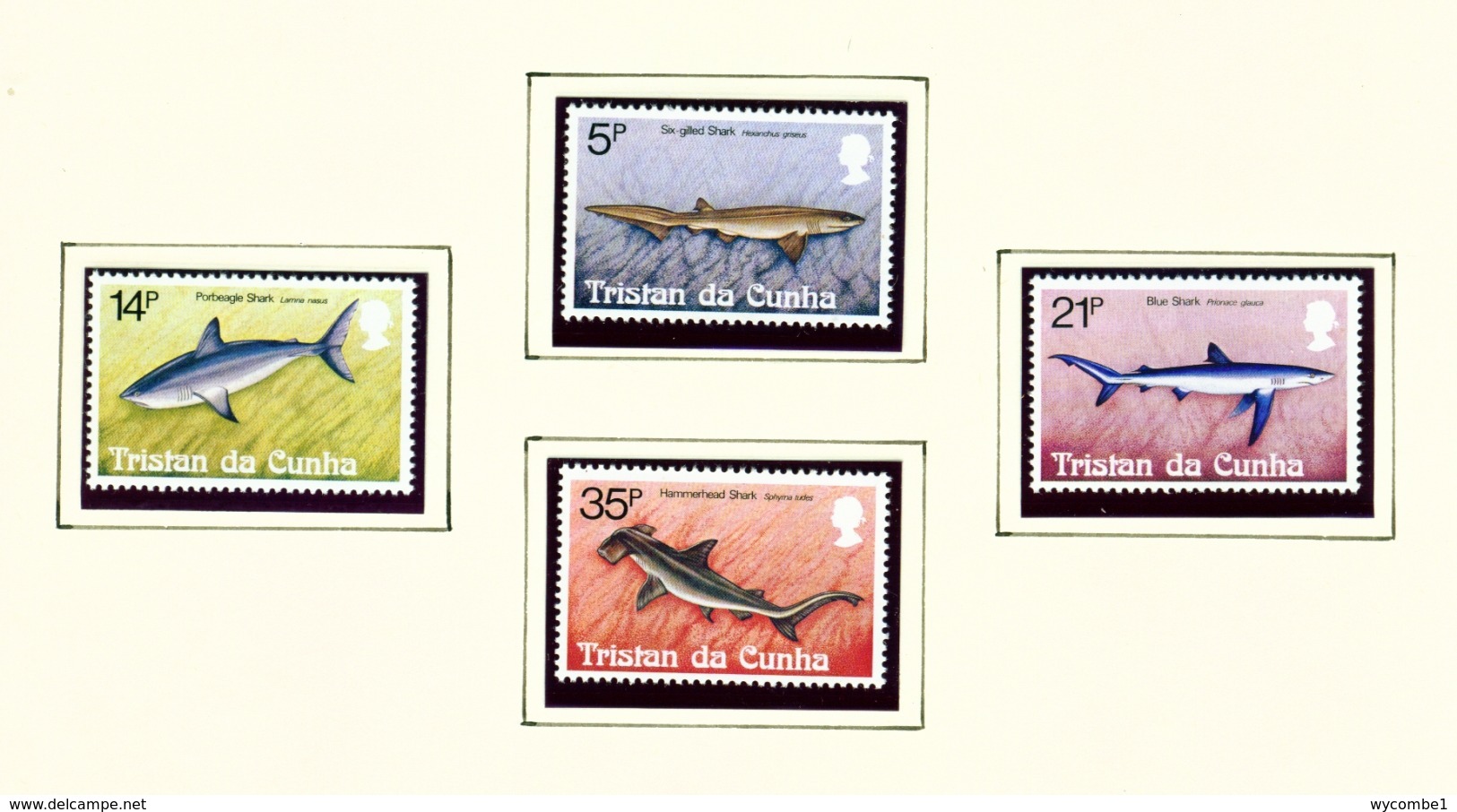 TRISTAN DA CUNHA  - 1982 Sharks Set Unmounted/Never Hinged Mint - Tristan Da Cunha