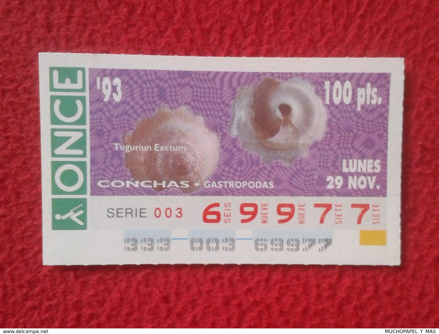 CUPÓN DE ONCE 1993 LOTTERY LOTERIE SPAIN LOTERÍA CONCHAS MARINAS O SIMIL MARINE SHELLS SHELL COQUILLAGES THE SEA CONCHA - Billetes De Lotería